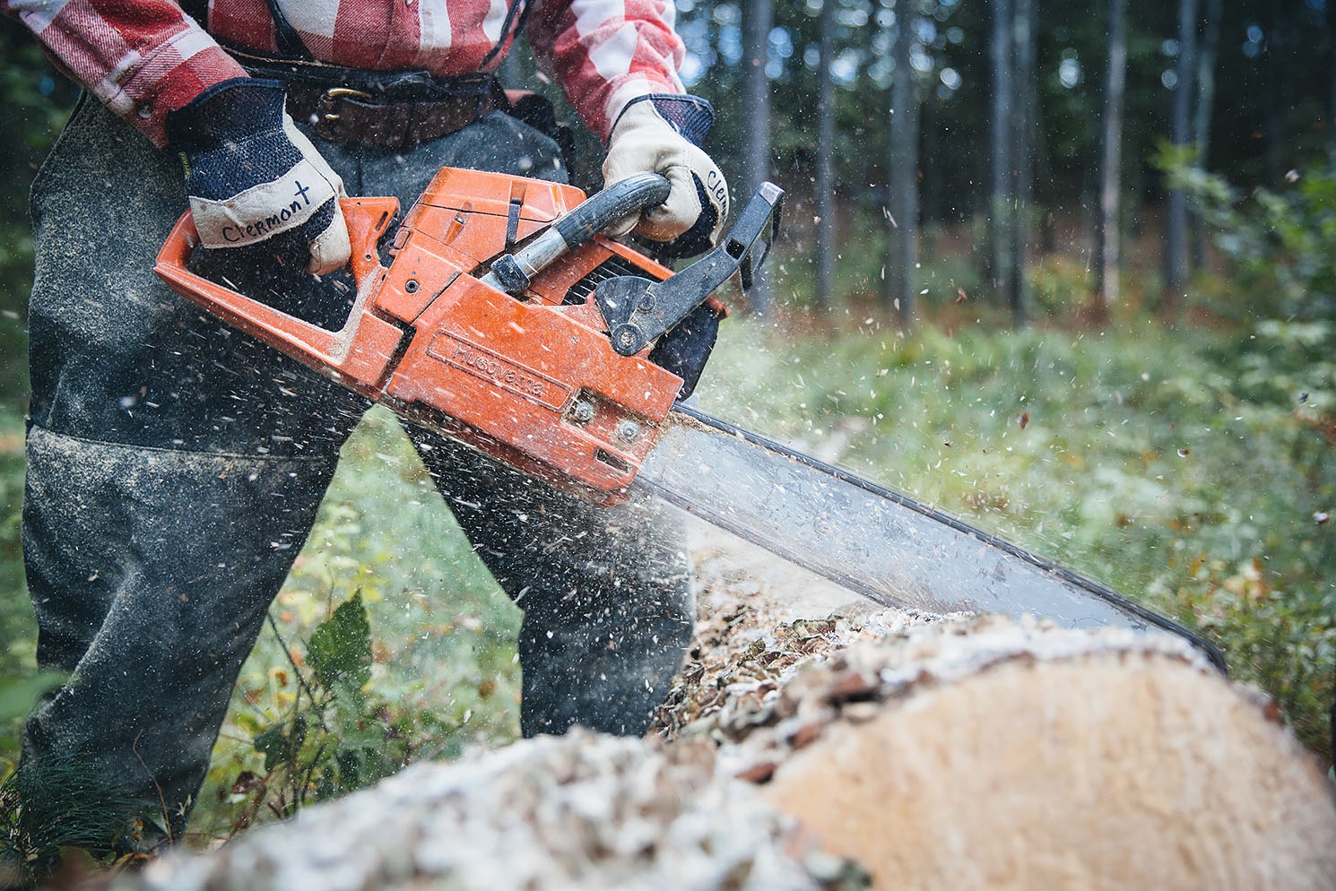 Chainsaws for Rent
